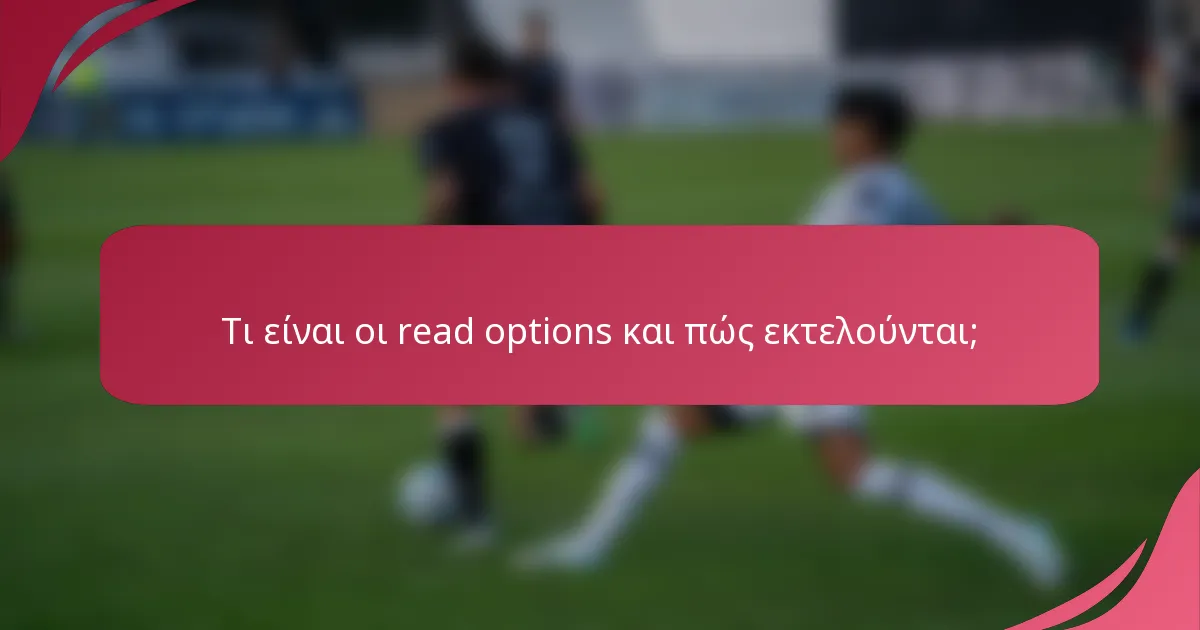 Τι είναι οι read options και πώς εκτελούνται;